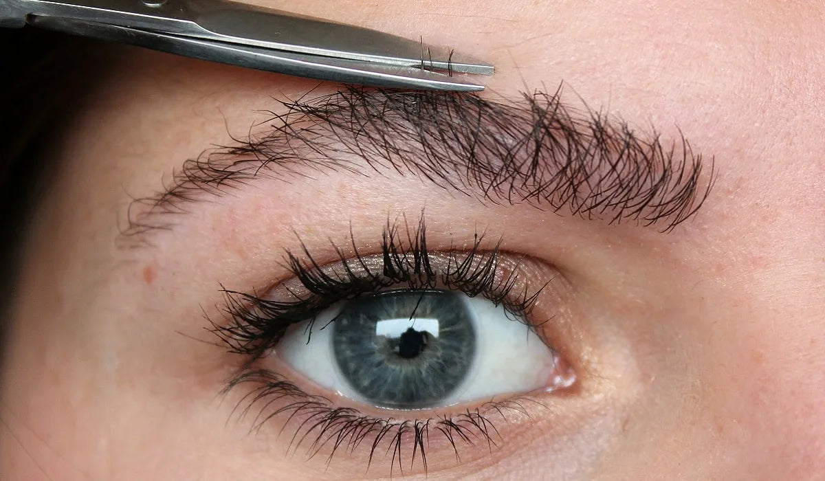 How to Choose the Best Eyebrow Shaping Scissors?