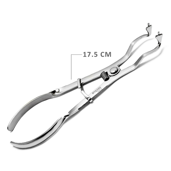 Dental Light Ivory Rubber Dam Clamp Forceps