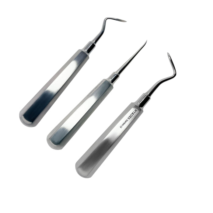 Heidbrink Root Pick Elevator Set of 3