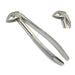 [Professional Grade Dental Instruments, Surgical Equipment, and Veterinary Medical Tools ]-HYADES Instruments